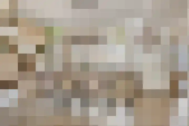 Parallelweg 33 a Budel-Schoot thumbnail 9