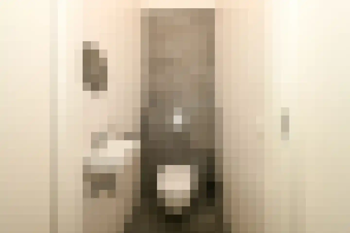Parallelweg 33 Eerbeek thumbnail 18