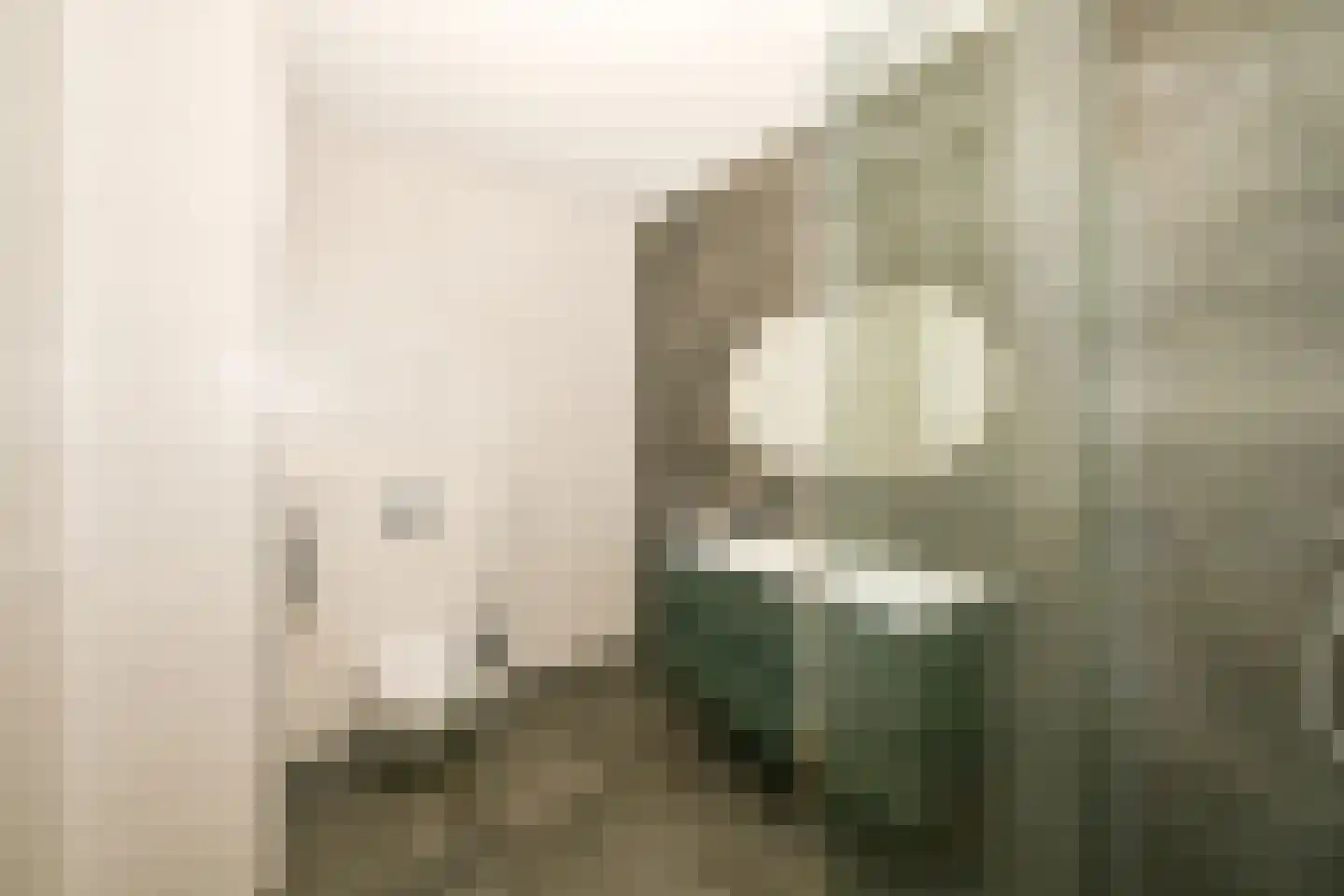 Parallelweg 33 Eerbeek thumbnail 19
