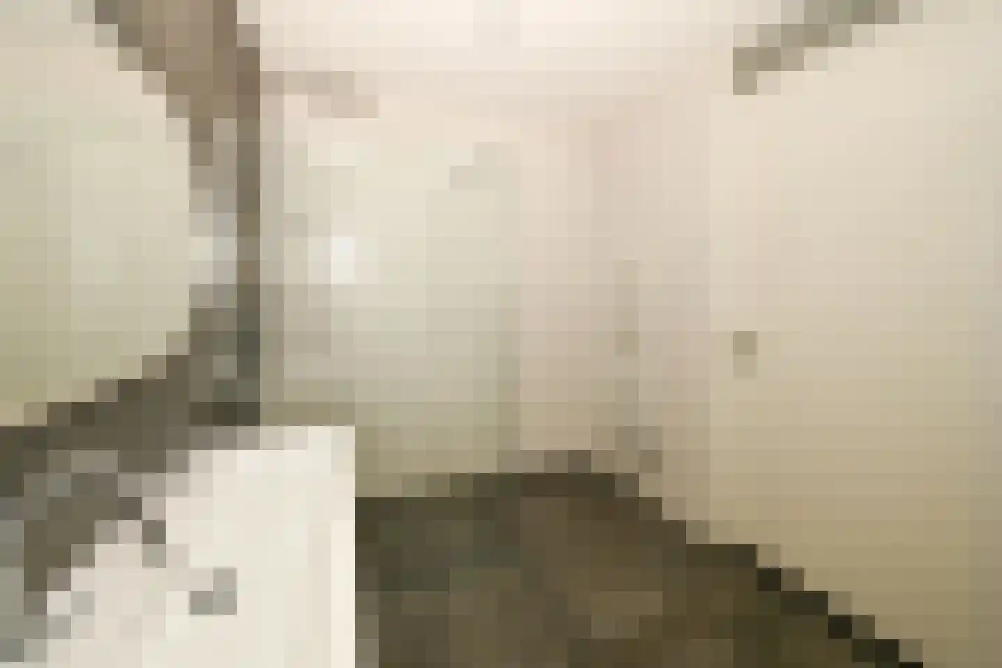 Parallelweg 33 Eerbeek thumbnail 20