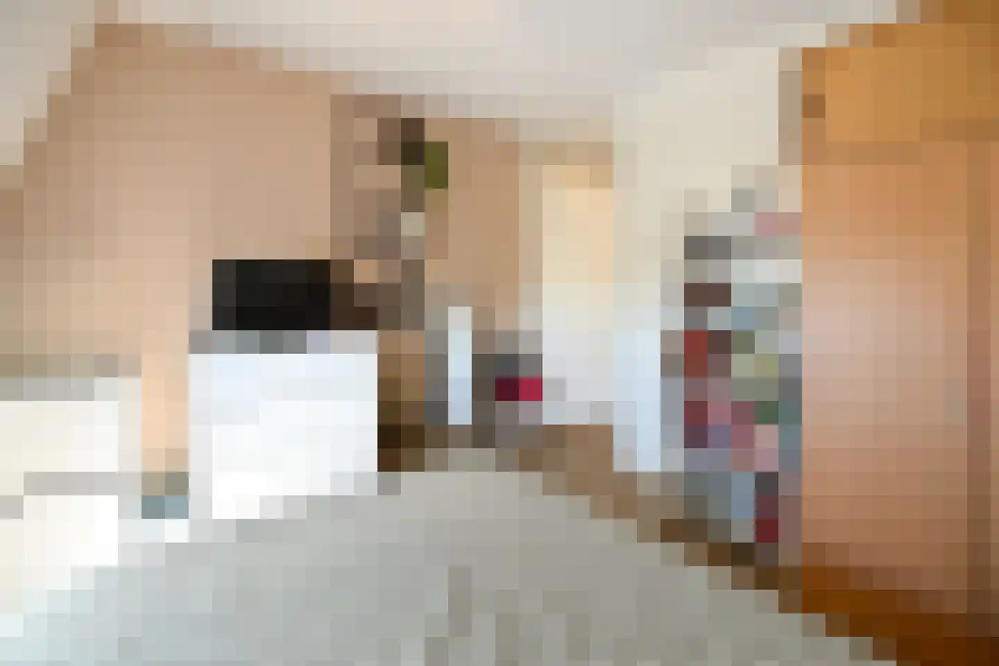 Parallelweg 33 Eerbeek thumbnail 24