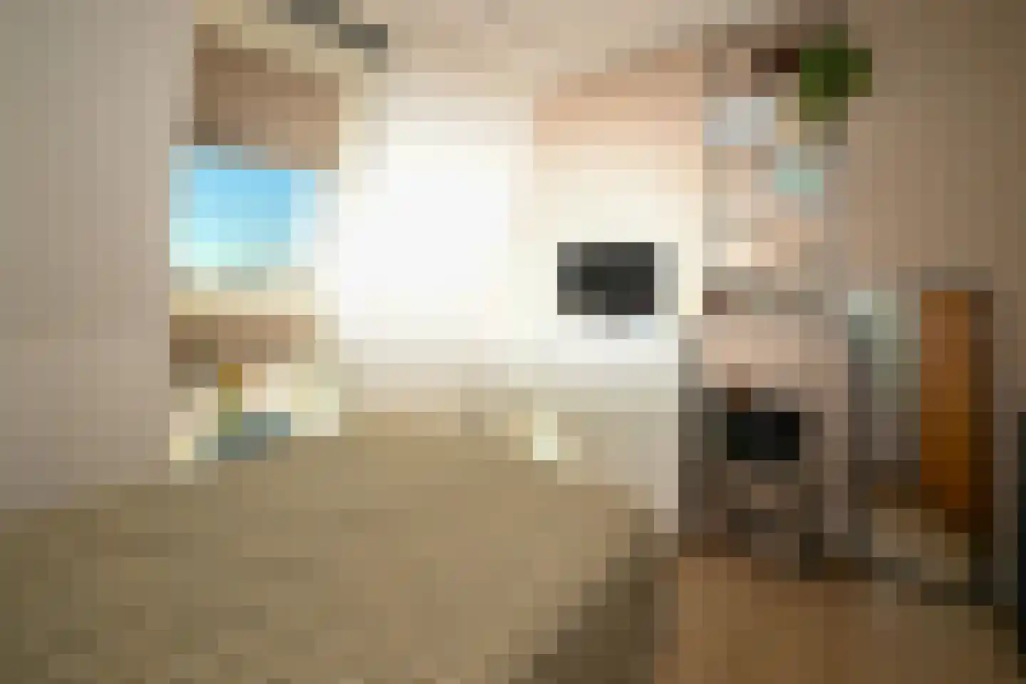 Parallelweg 33 Eerbeek thumbnail 25
