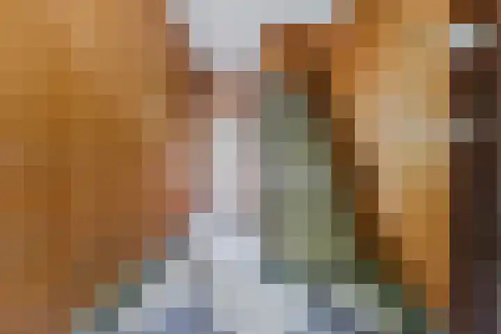 Parallelweg 33 Geldrop thumbnail 10