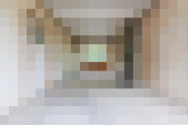 Parallelweg 33 Geldrop thumbnail 11