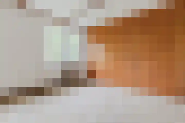 Parallelweg 33 Geldrop thumbnail 21