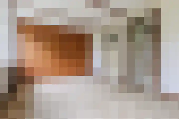 Parallelweg 33 Geldrop thumbnail 22