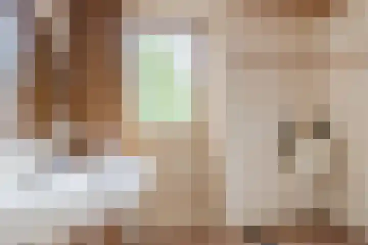 Parallelweg 33 Geldrop thumbnail 23