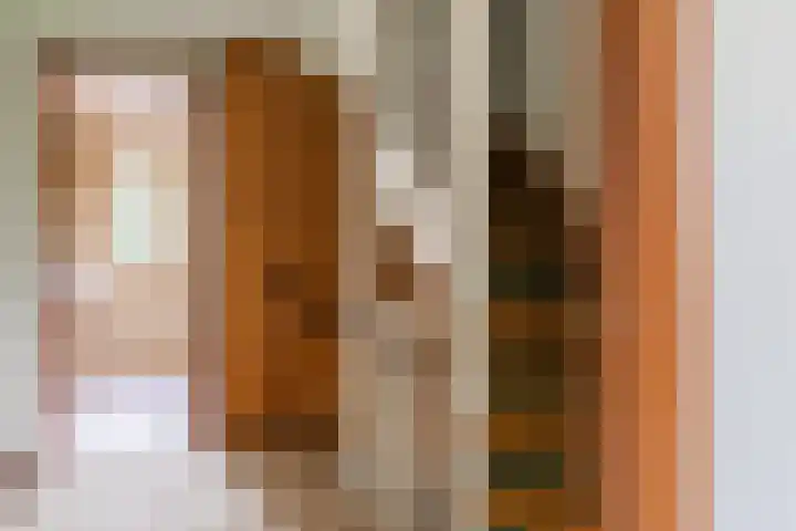 Parallelweg 33 Geldrop thumbnail 25