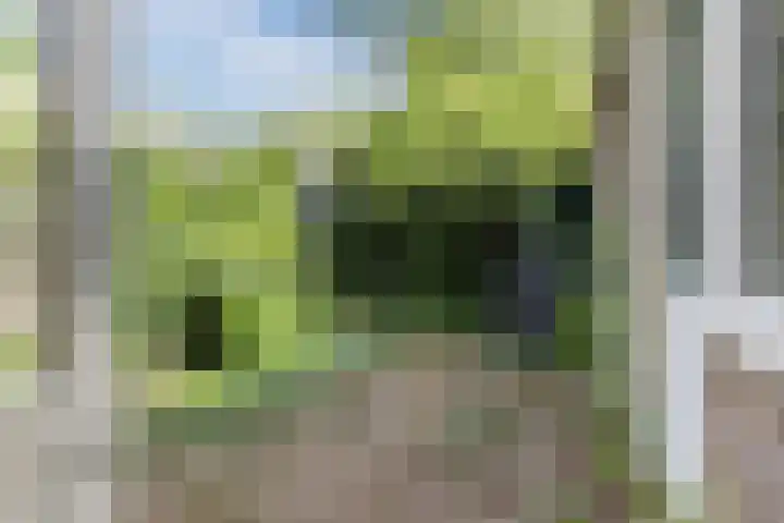 Parallelweg 33 Geldrop thumbnail 28