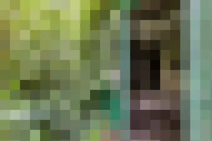 Parallelweg 33 Geldrop thumbnail 29