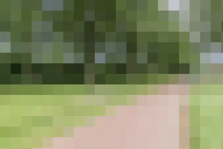 Parallelweg 33 Geldrop thumbnail 32
