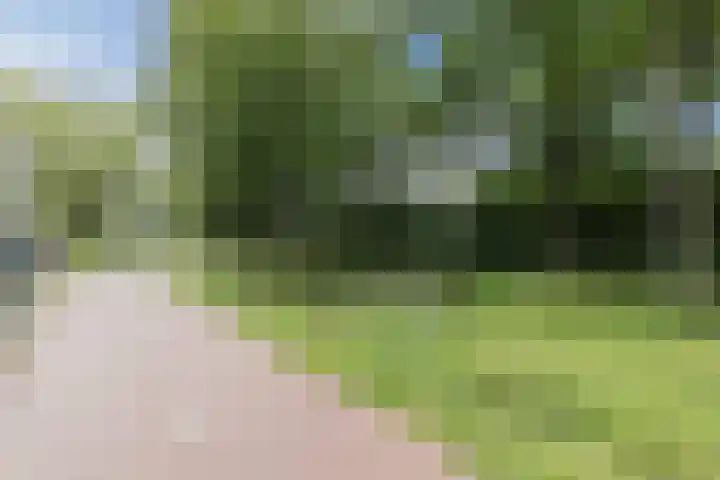 Parallelweg 33 Geldrop thumbnail 35