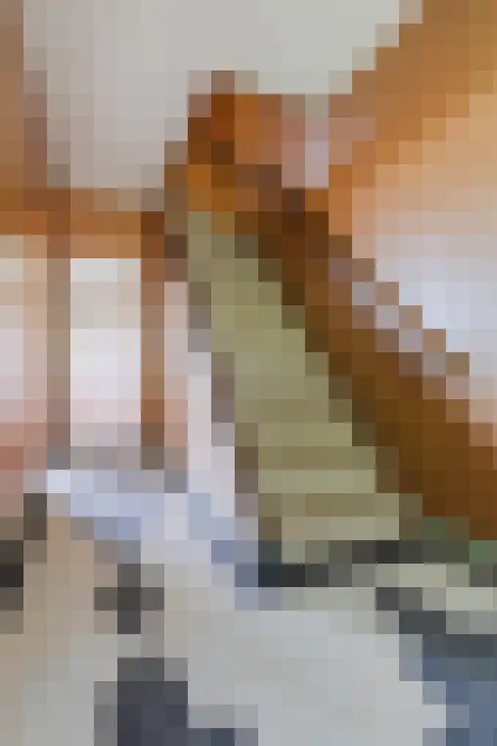 Parallelweg 33 Geldrop thumbnail 38