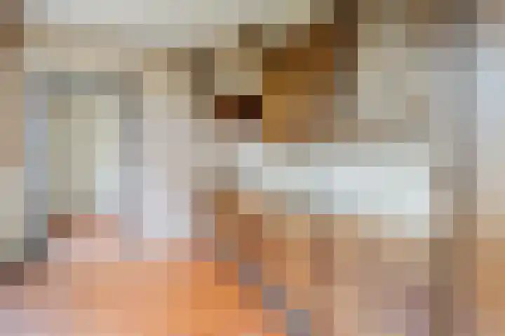 Parallelweg 33 Geldrop thumbnail 4