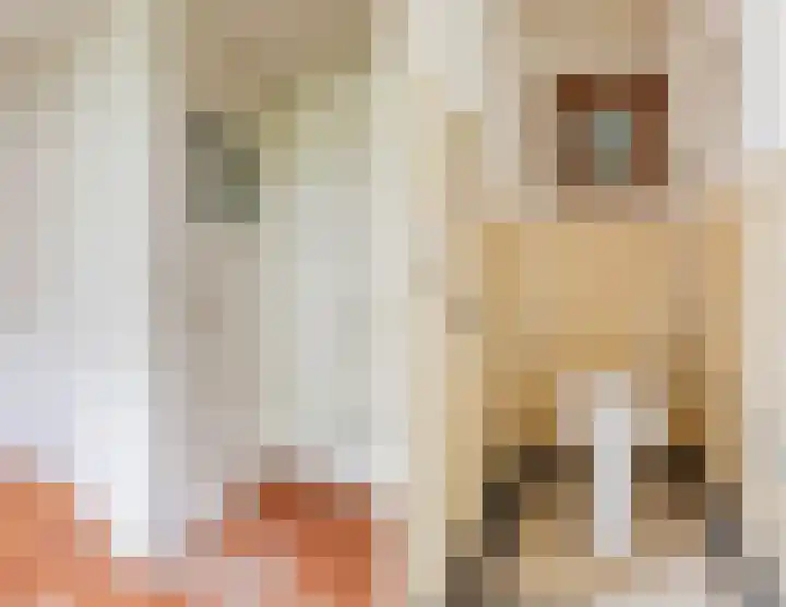 Parallelweg 33 Geldrop thumbnail 42