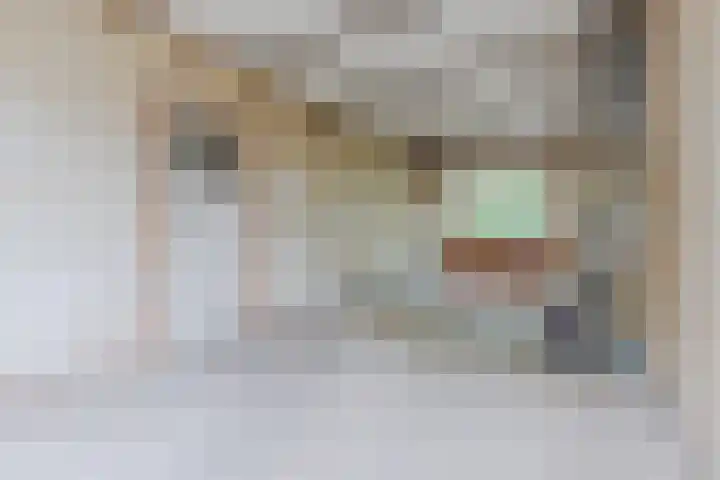 Parallelweg 33 Geldrop thumbnail 43