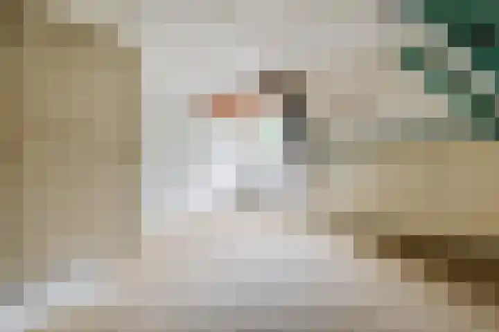 Parallelweg 33 Geldrop thumbnail 46