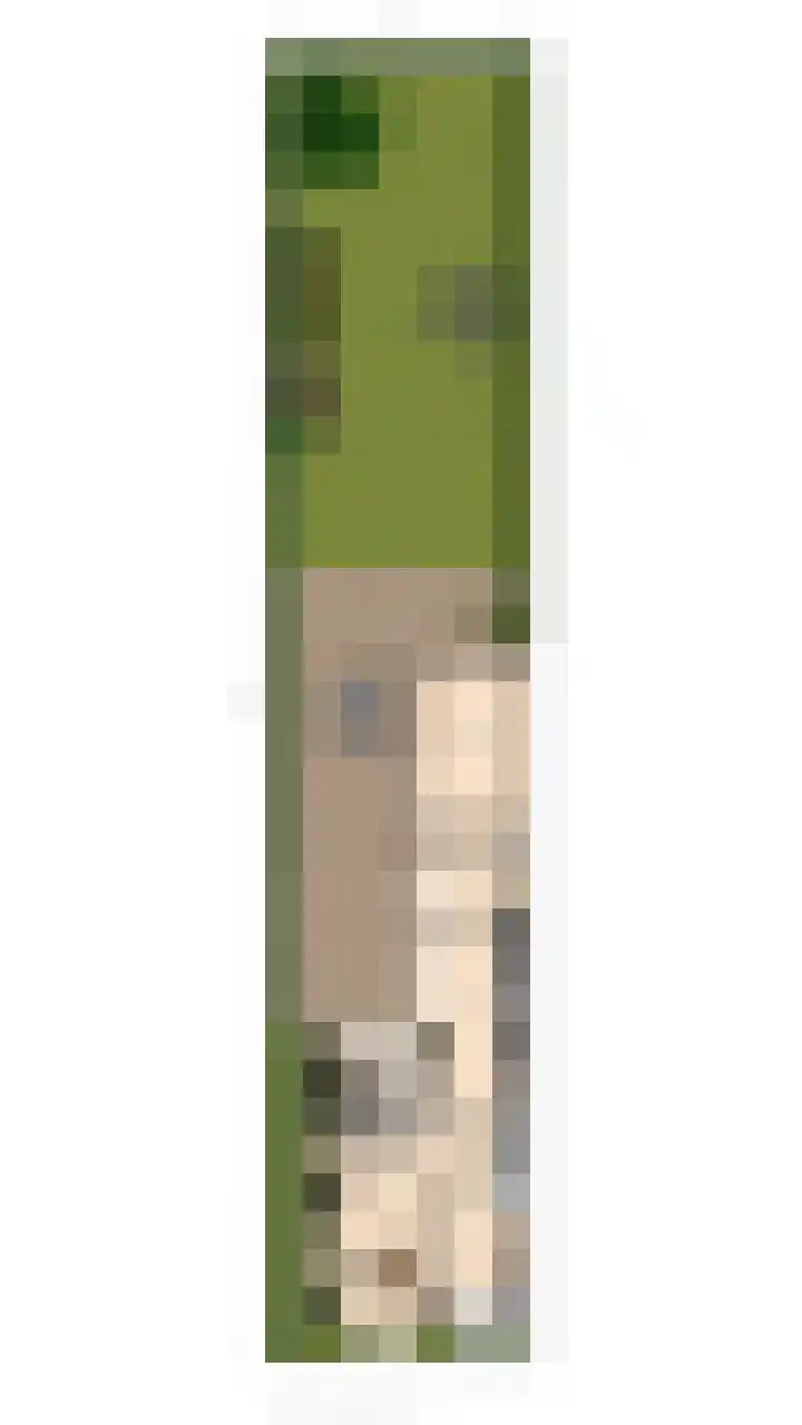 Parallelweg 33 Geldrop thumbnail 50