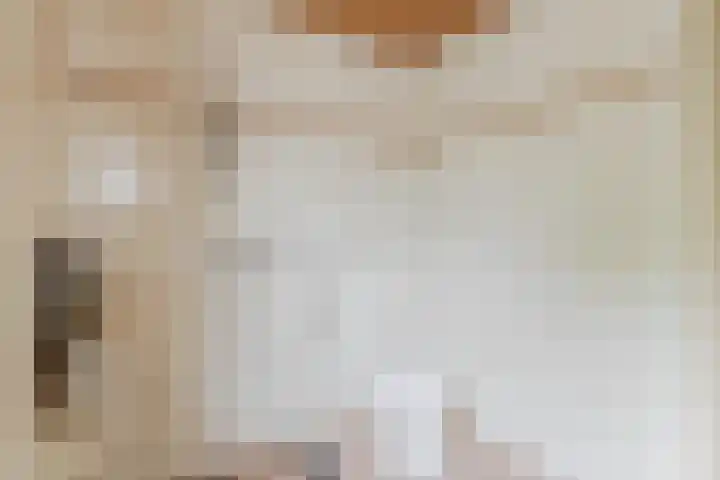 Parallelweg 33 Geldrop thumbnail 6