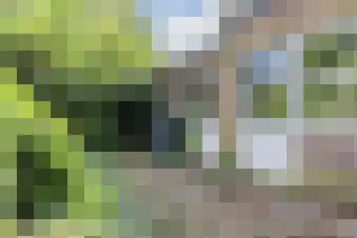 Parallelweg 33 Geldrop thumbnail 8