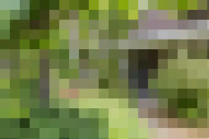 Parallelweg 33 Geldrop thumbnail 9