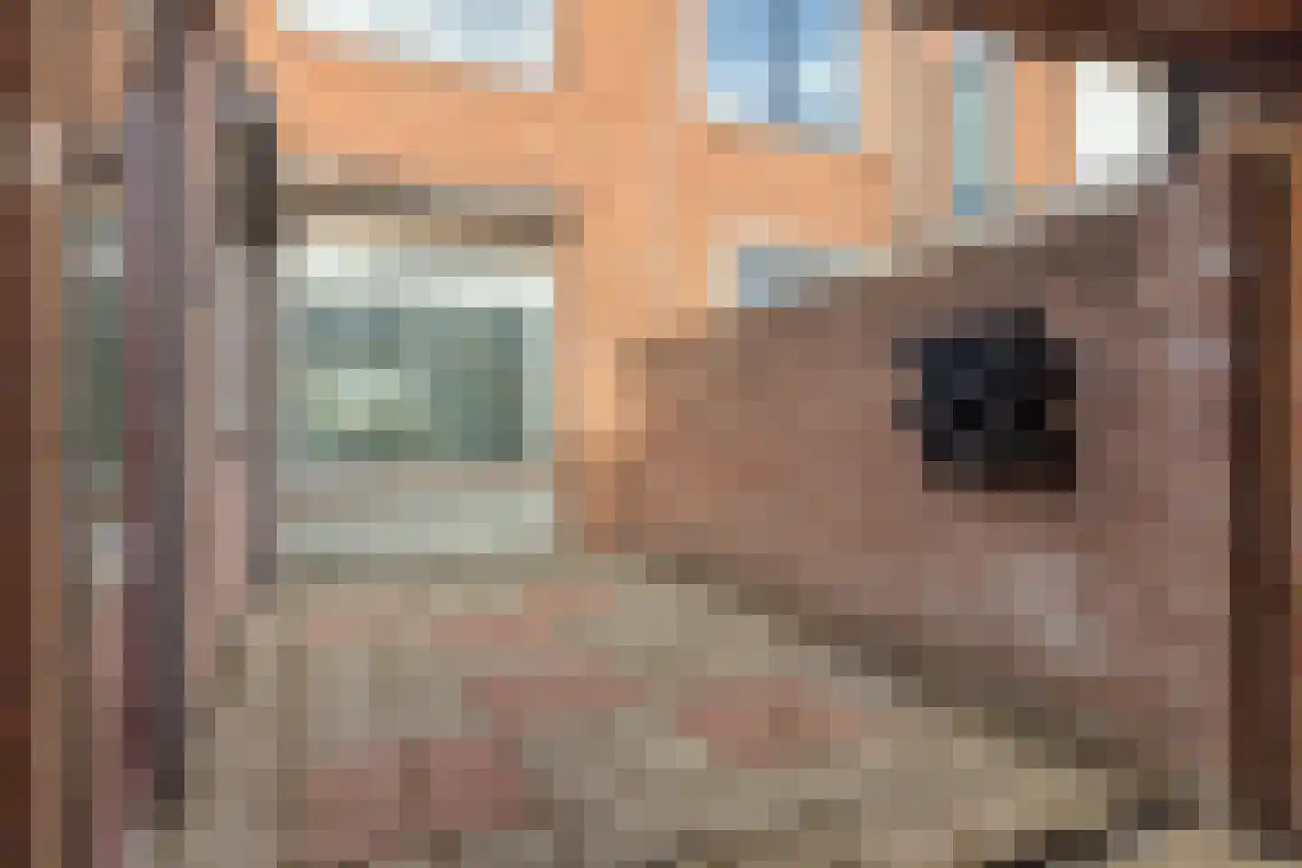 Parallelweg 35 Bergen op Zoom thumbnail 31
