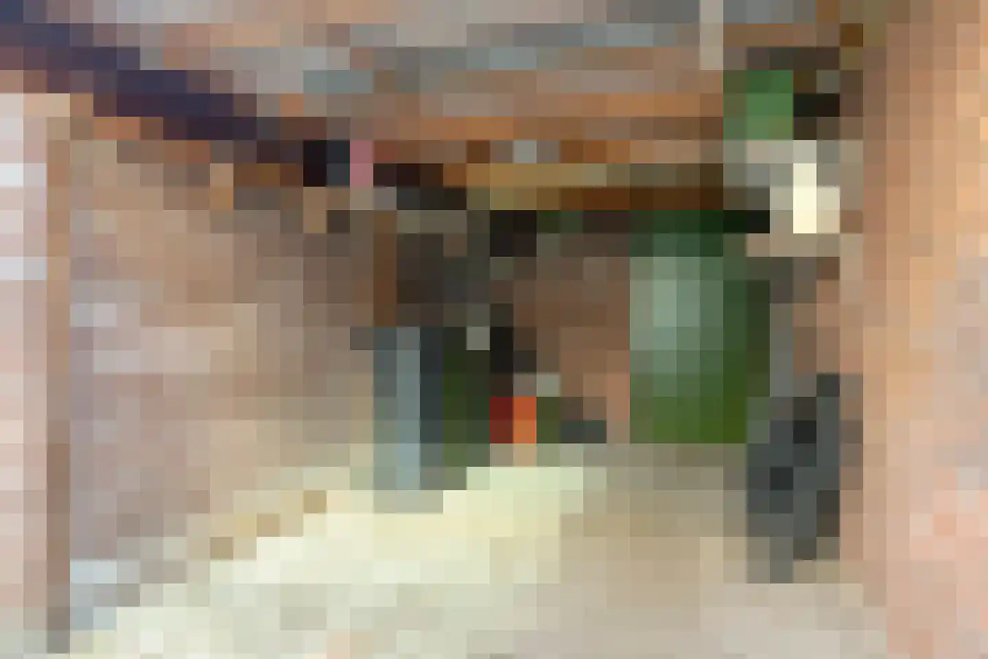 Parallelweg 35 Bergen op Zoom thumbnail 34