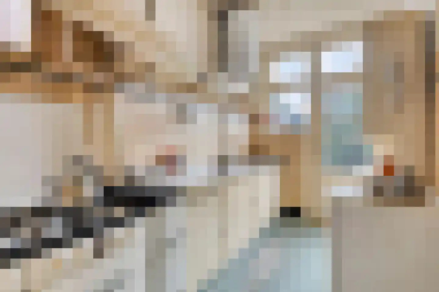 Parallelweg 36 Koog aan de Zaan thumbnail 15