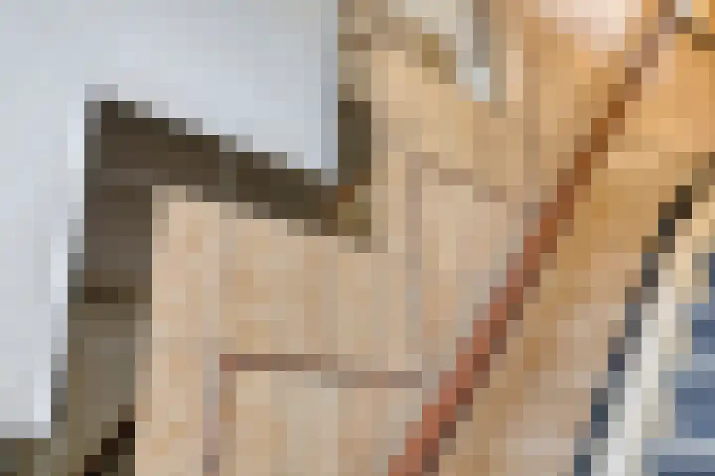 Parallelweg 36 Koog aan de Zaan thumbnail 18