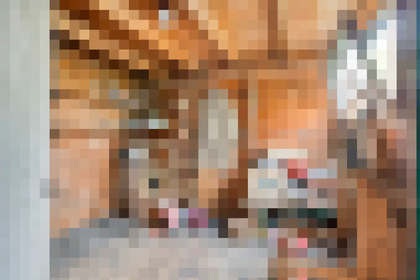 Parallelweg 36 Koog aan de Zaan thumbnail 34