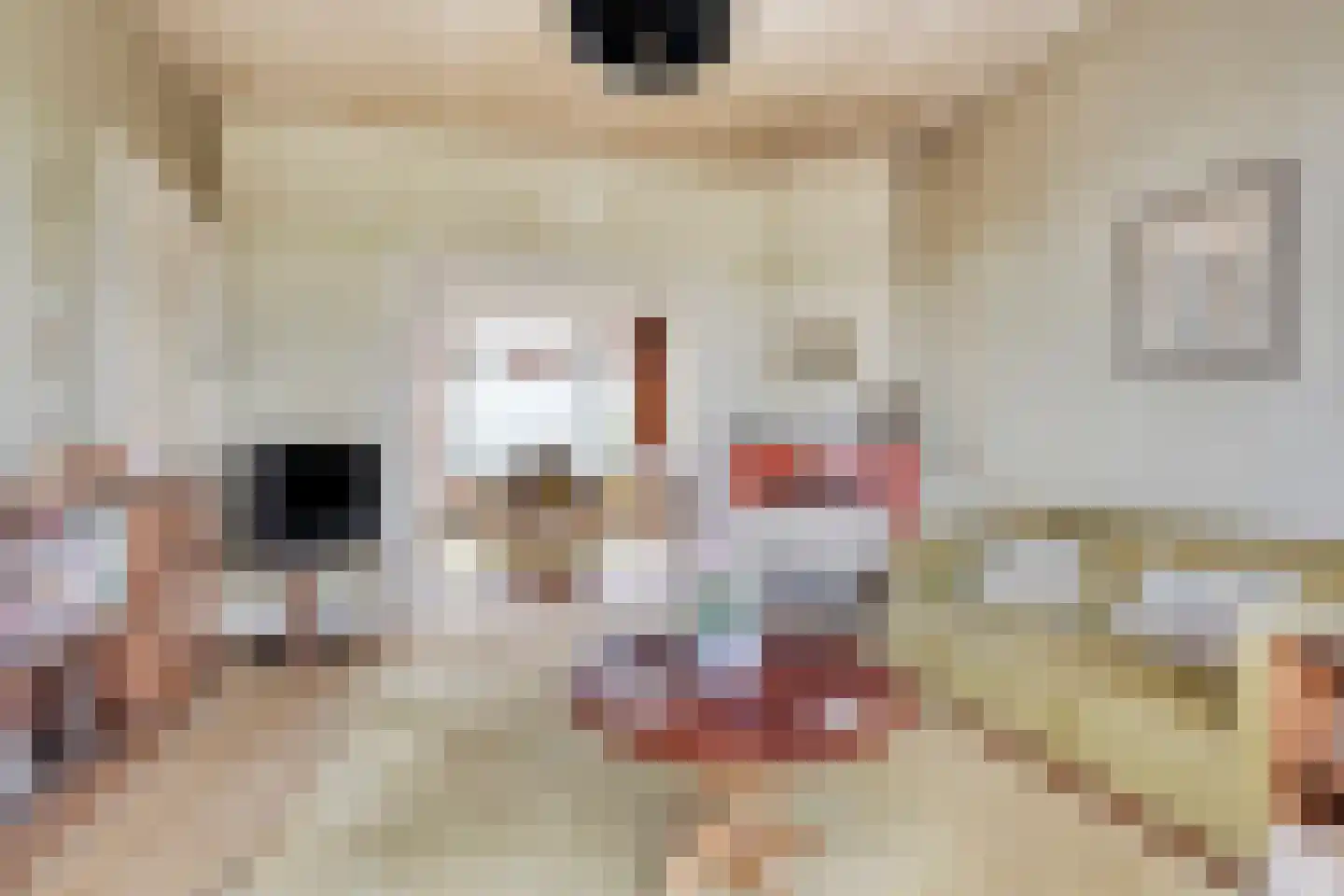 Parallelweg 36 Koog aan de Zaan thumbnail 9