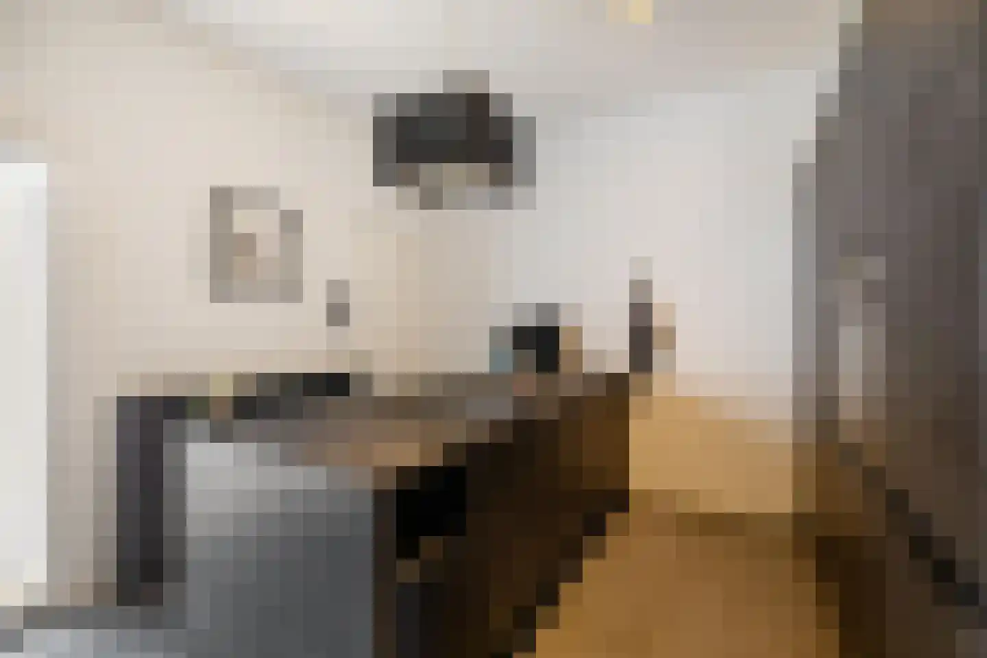 Parallelweg 37 Hoogezand thumbnail 13