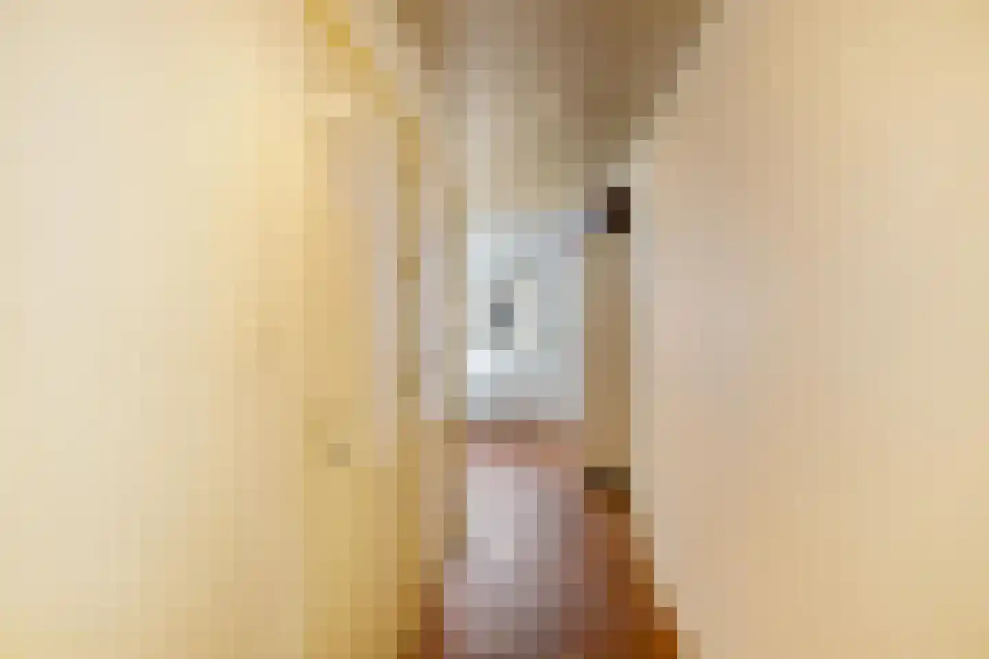 Parallelweg 37 Hoogezand thumbnail 22