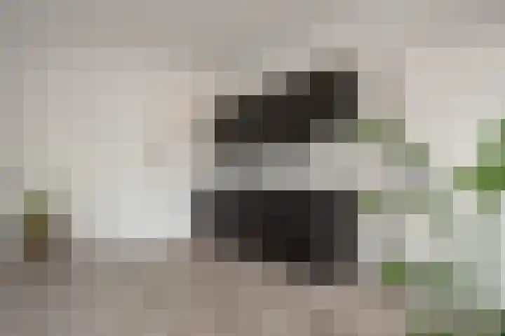 Parallelweg 38 A Vlaardingen thumbnail 11