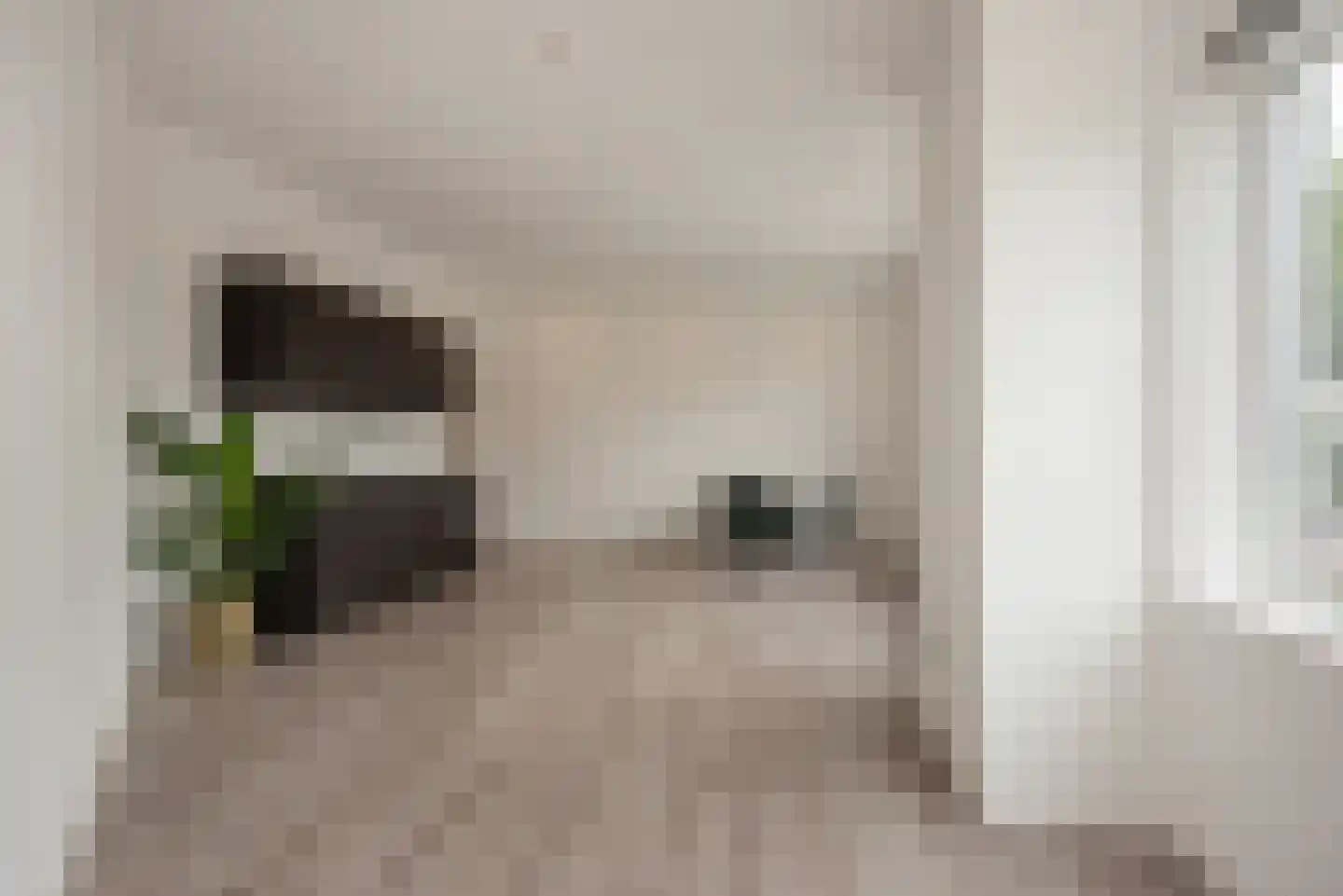 Parallelweg 38 B Vlaardingen thumbnail 8