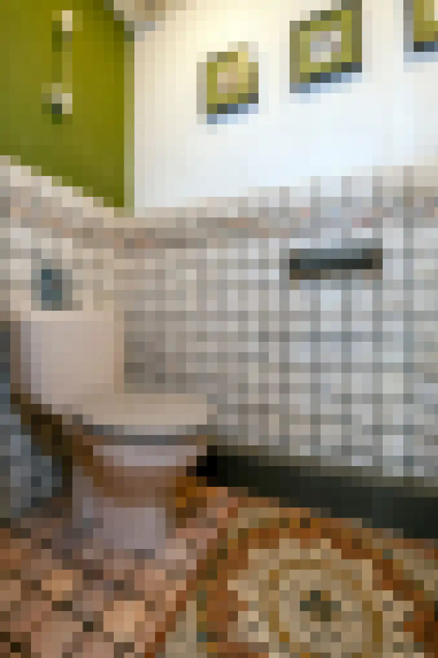 Parallelweg 38 Beerta thumbnail 13
