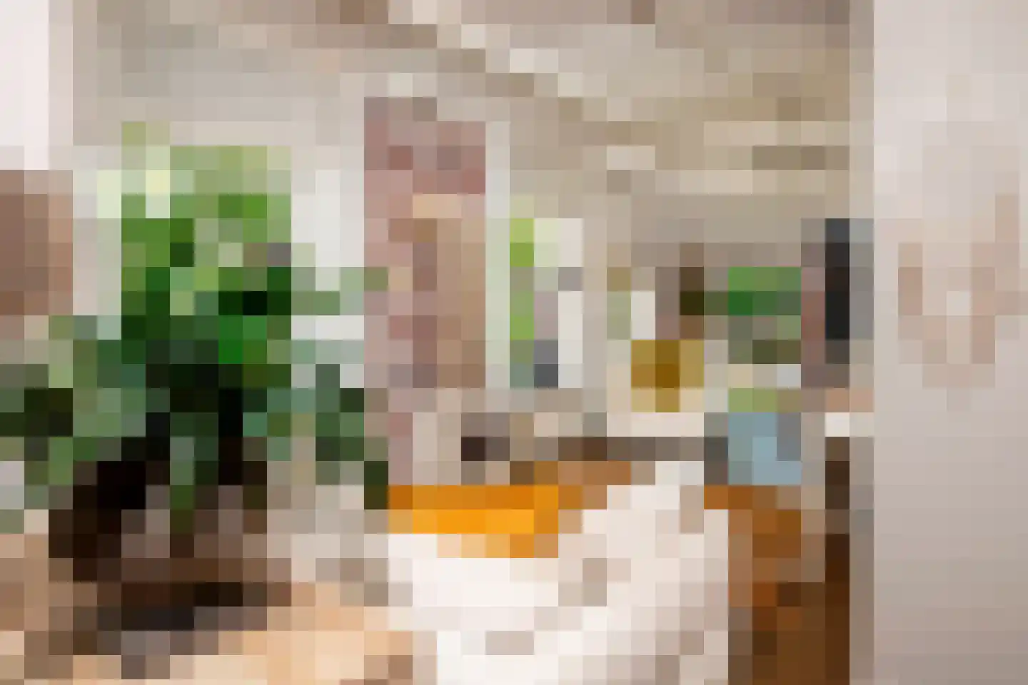 Parallelweg 38 Beerta thumbnail 25