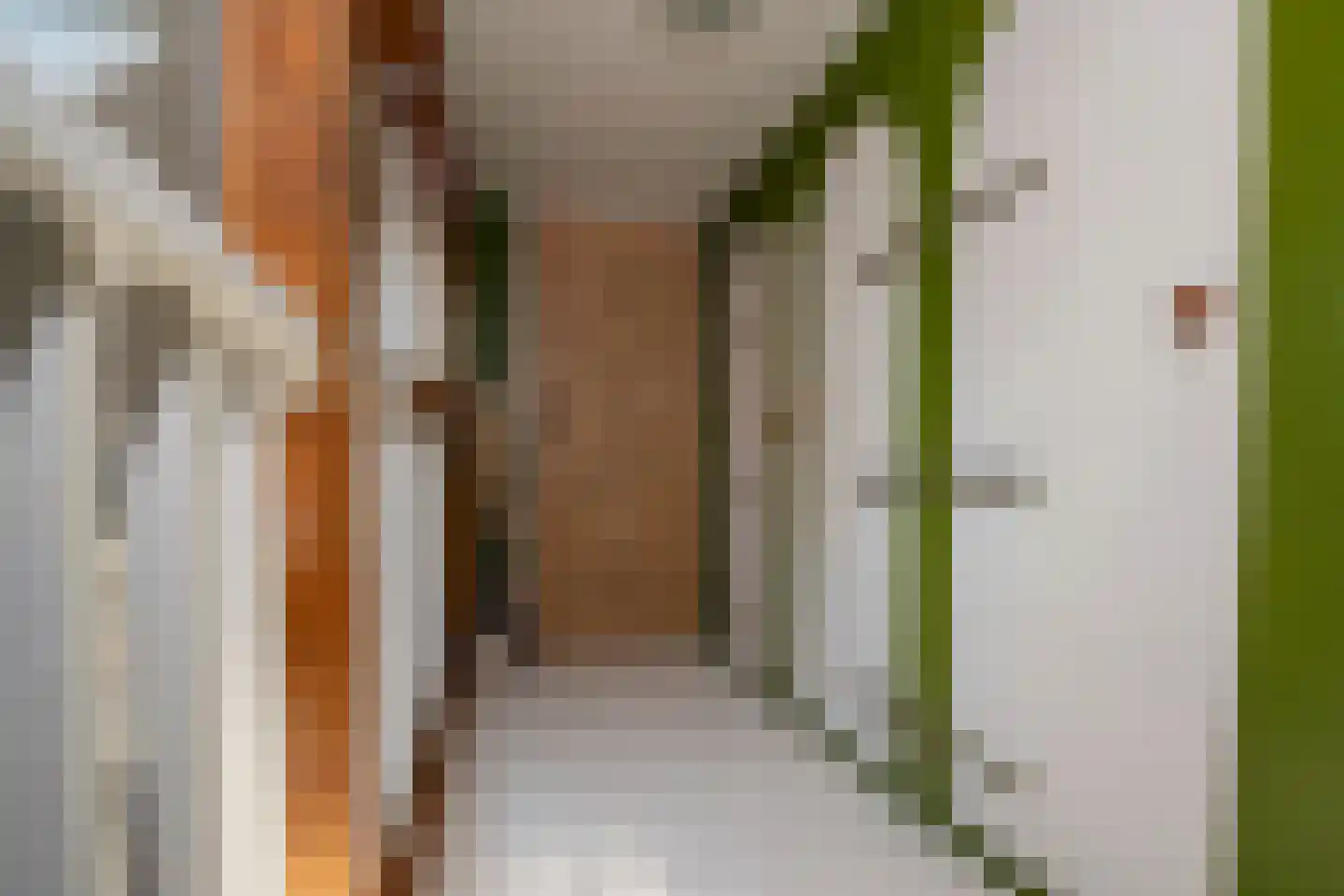 Parallelweg 38 Beerta thumbnail 28