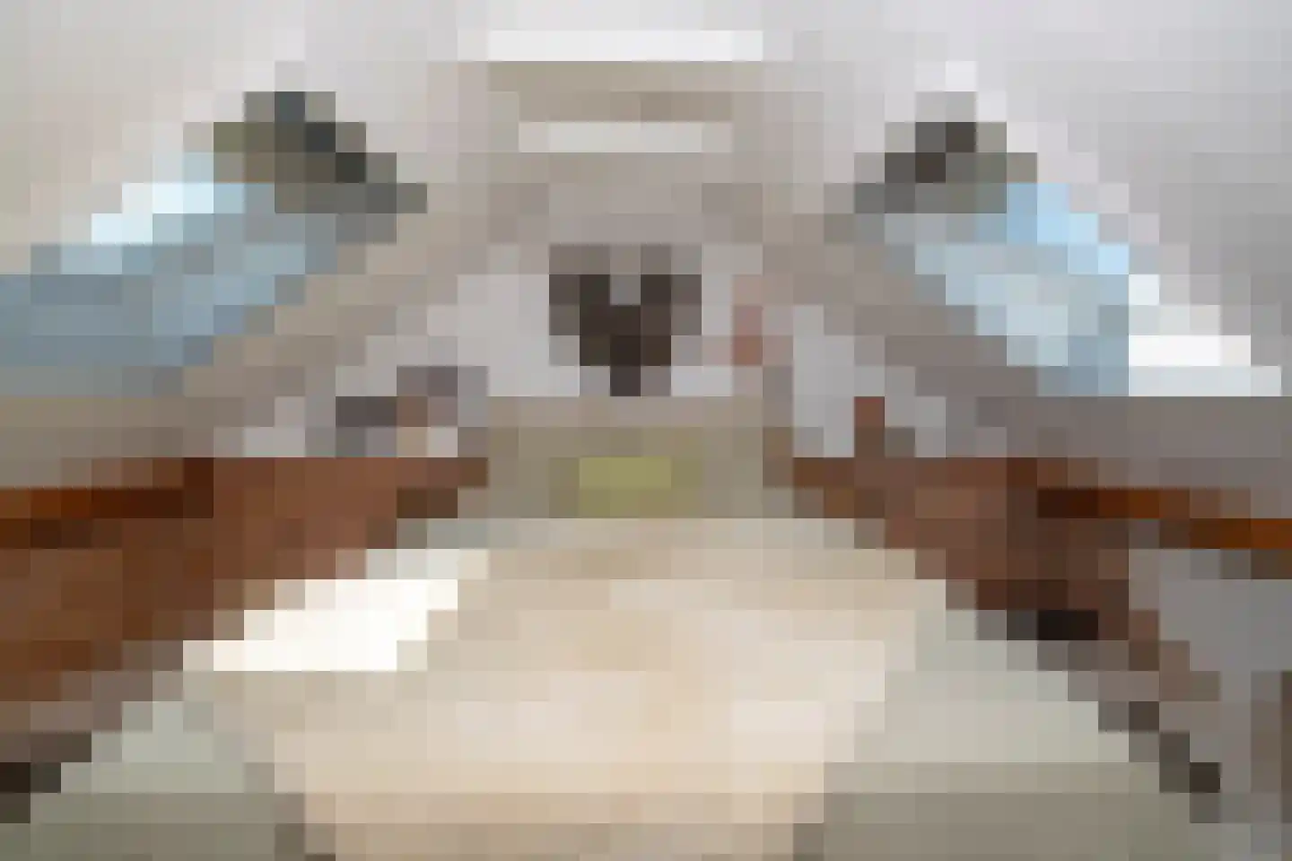 Parallelweg 38 Beerta thumbnail 29