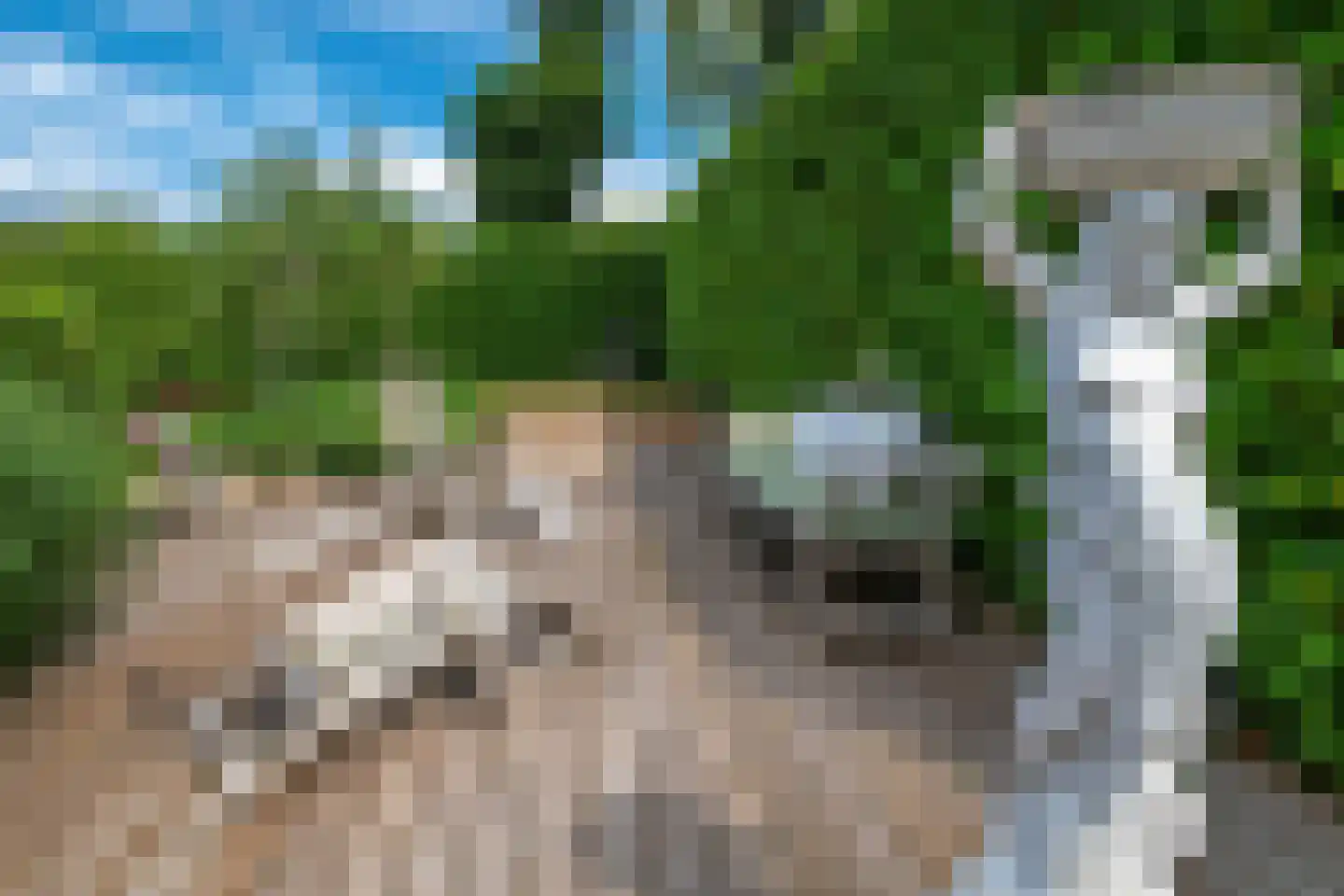 Parallelweg 38 Beerta thumbnail 35