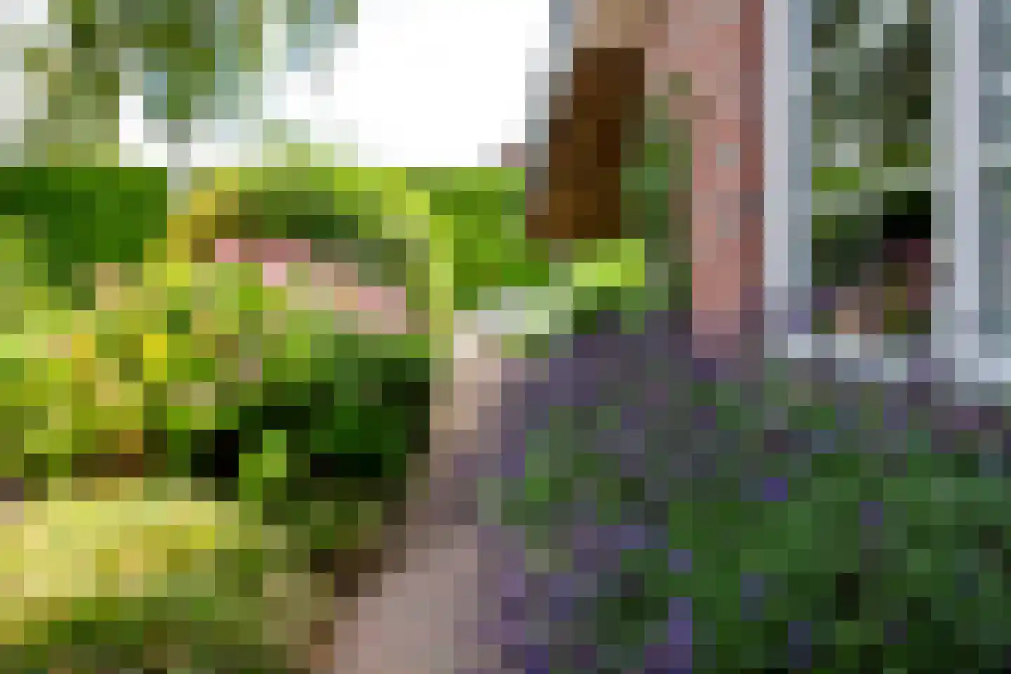 Parallelweg 38 Beerta thumbnail 4