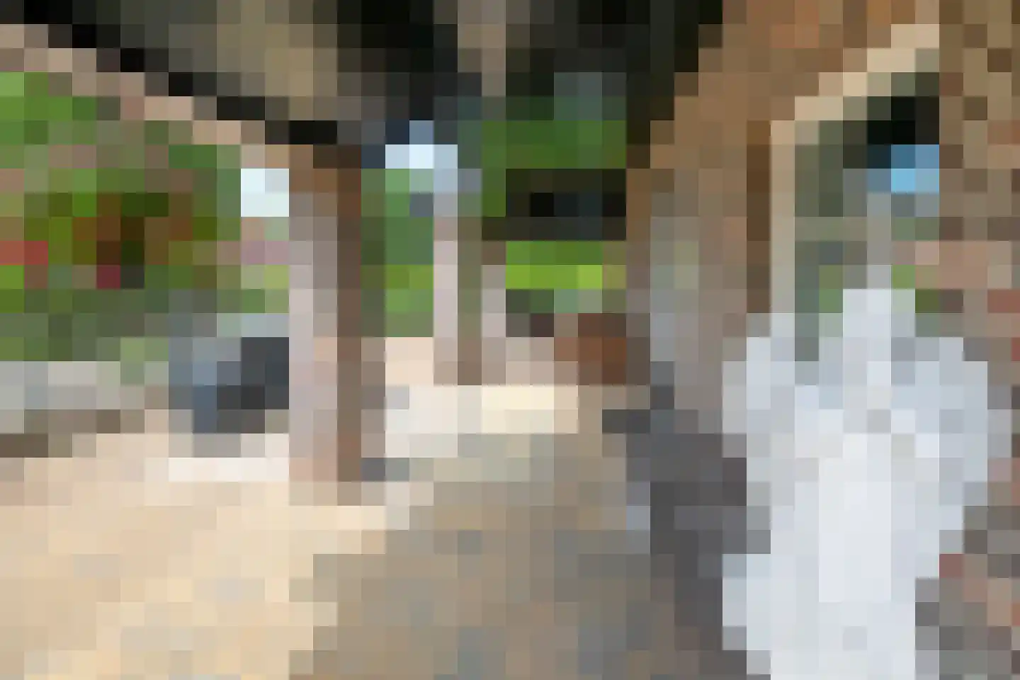 Parallelweg 38 Beerta thumbnail 43