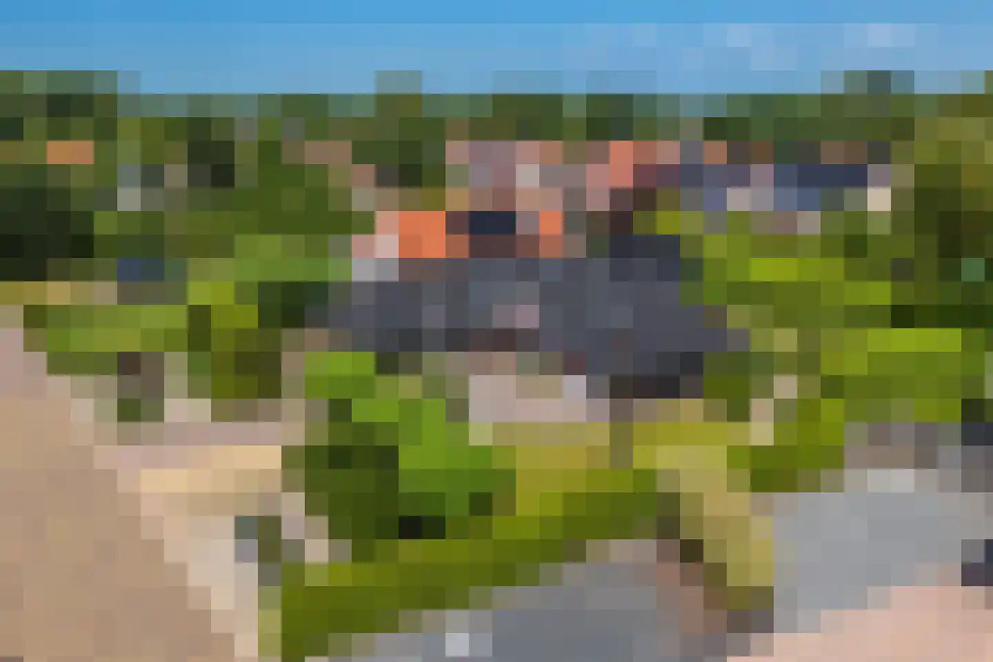Parallelweg 38 Beerta thumbnail 45