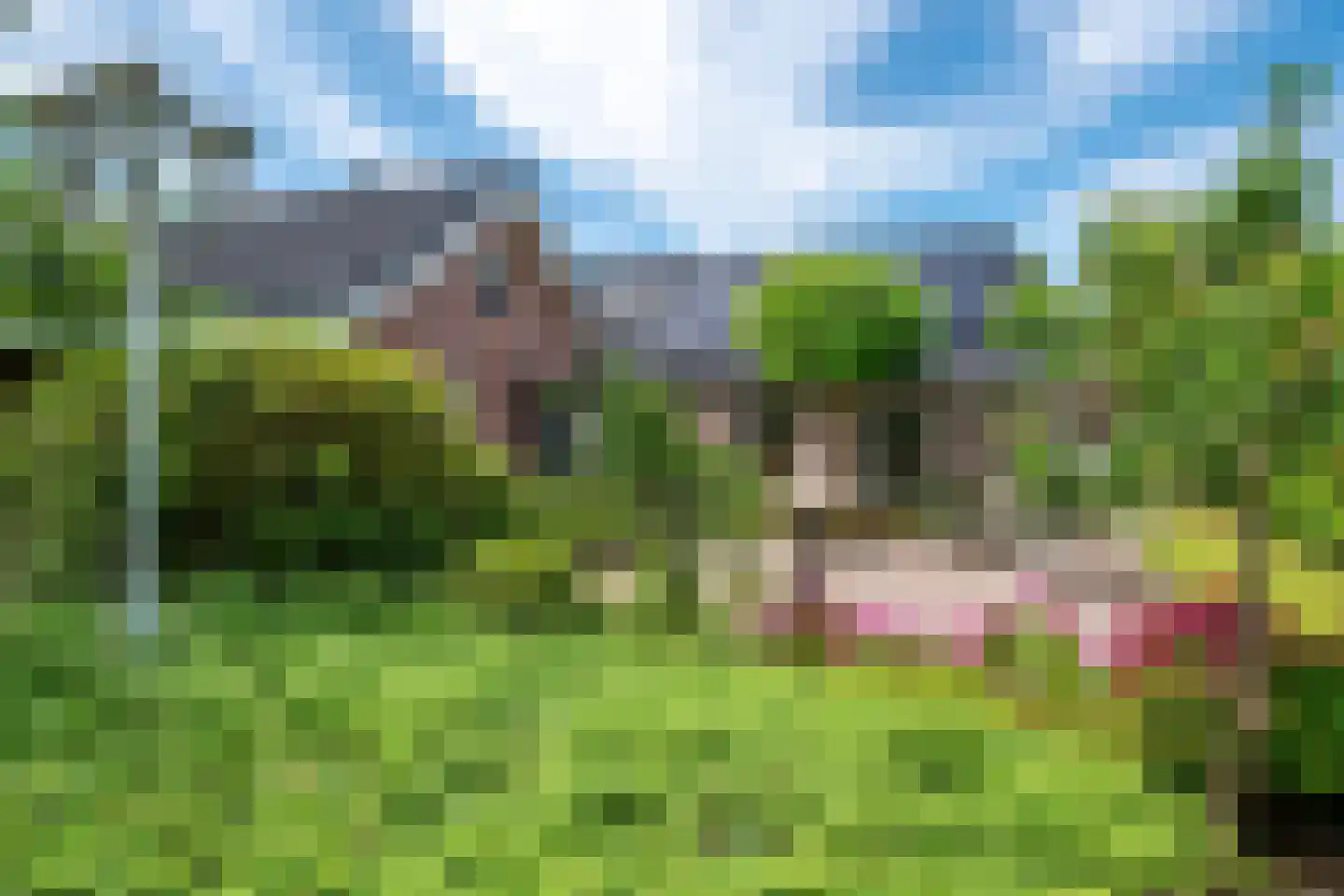 Parallelweg 38 Beerta thumbnail 5