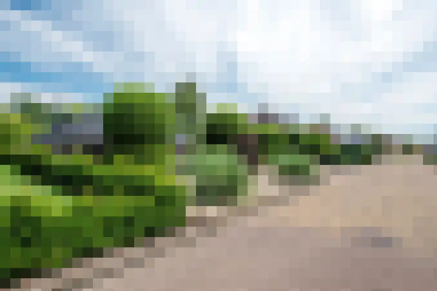 Parallelweg 38 Beerta thumbnail 8