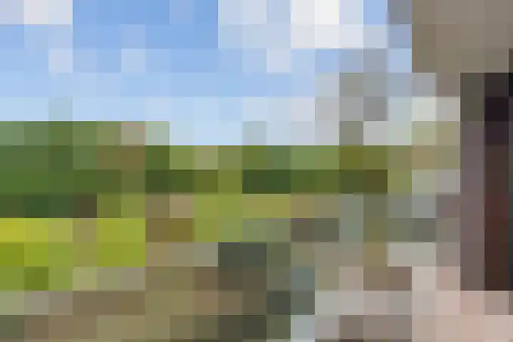 Parallelweg 39 Oirschot thumbnail 24