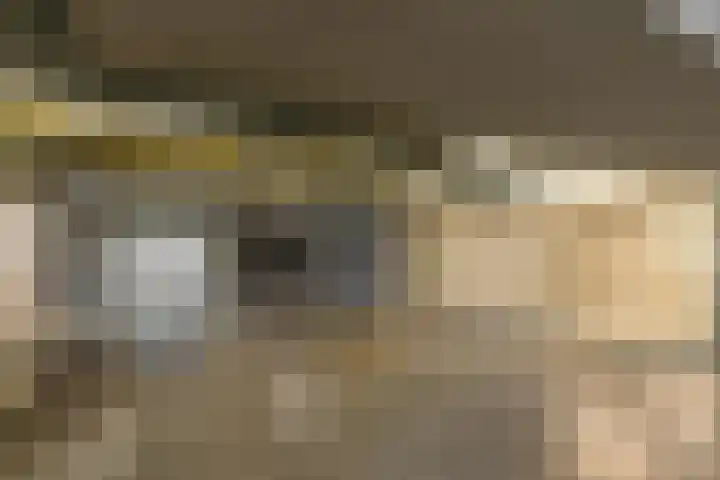 Parallelweg 39 Oirschot thumbnail 31