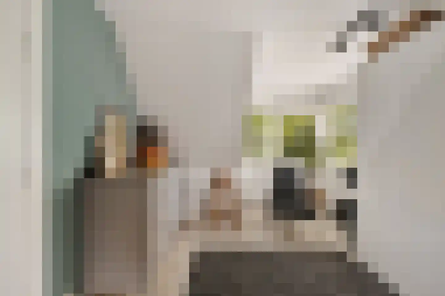 Parallelweg 39 Sneek thumbnail 19