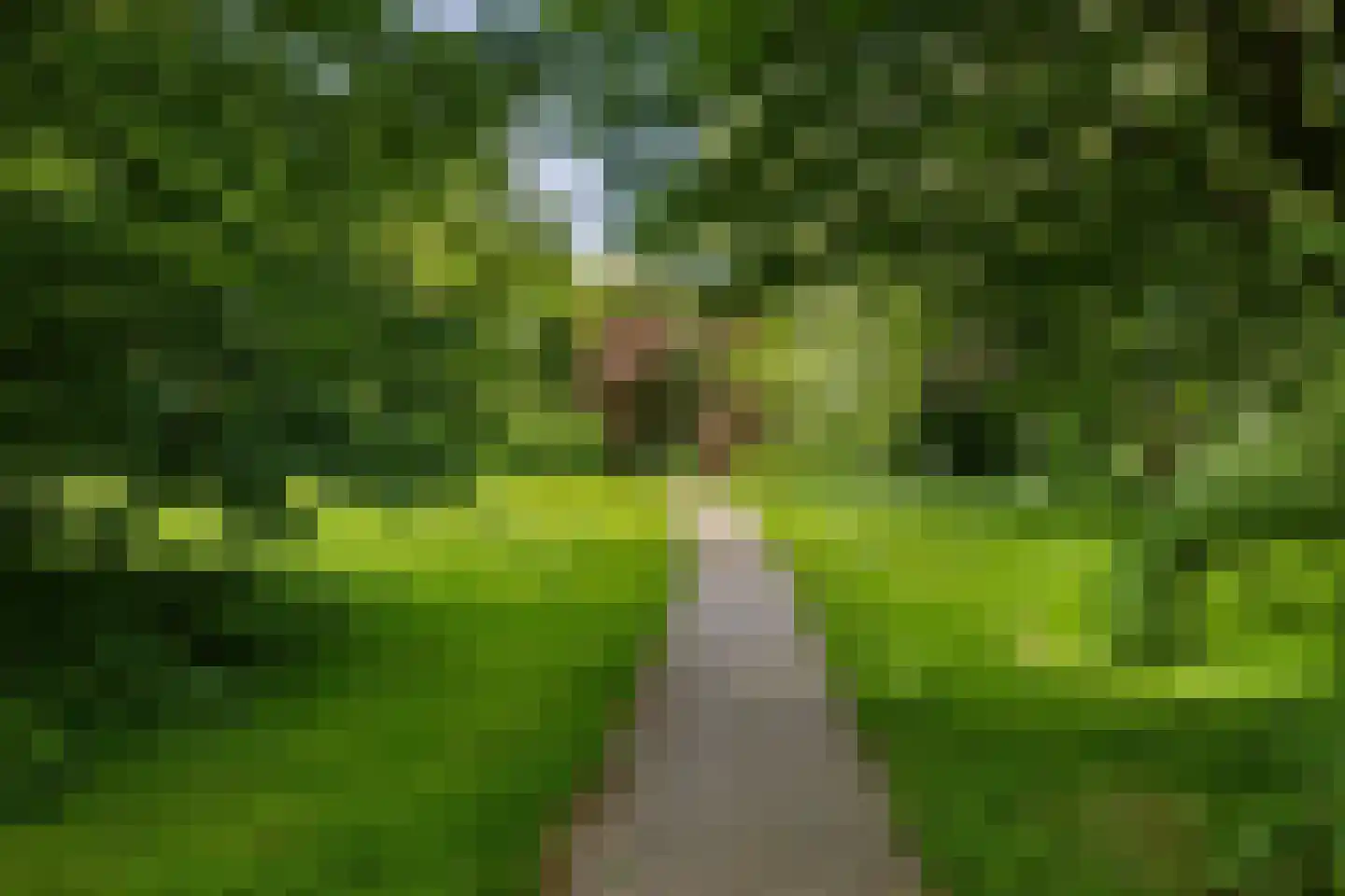 Parallelweg 39 Sneek thumbnail 4