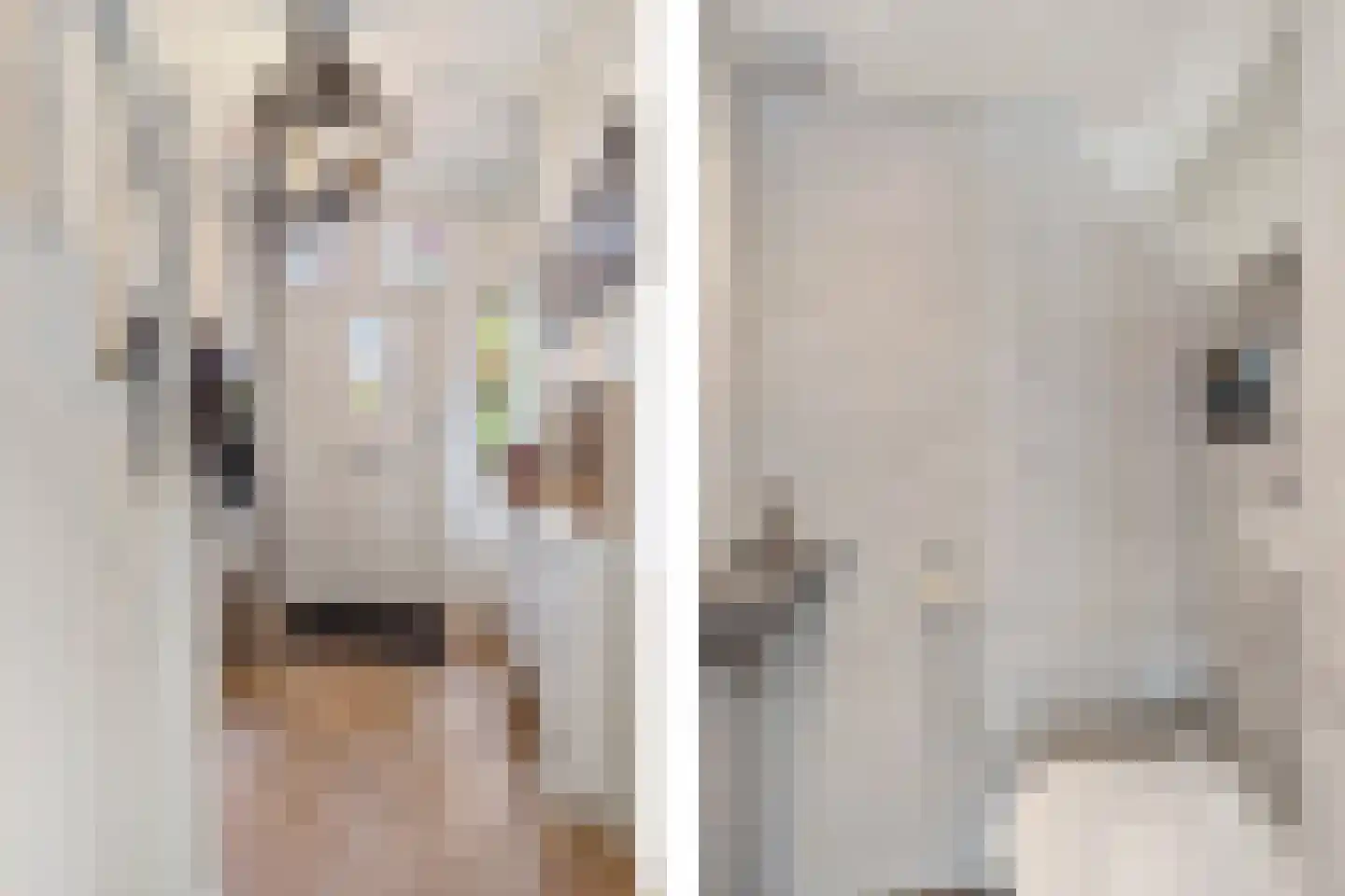 Parallelweg 39 Sneek thumbnail 6
